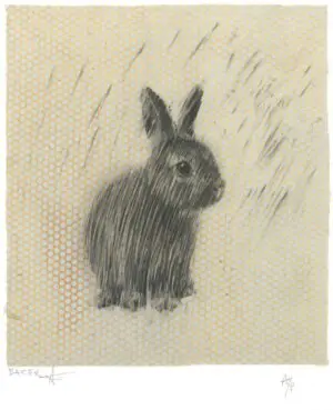 Love Bunny VII By Charming Baker