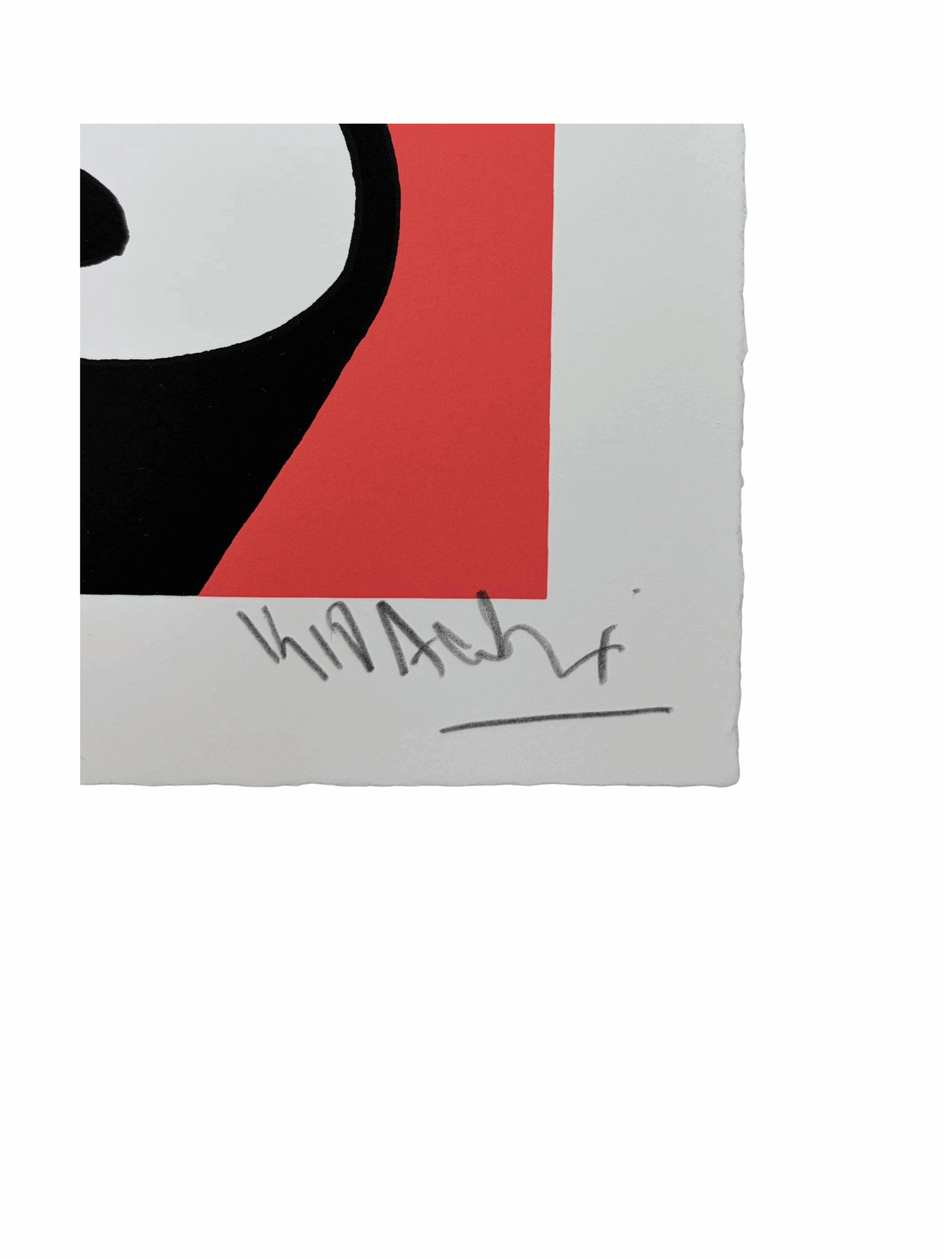 Blame the Parents (Coral) by Kid Acne - Image 4