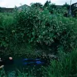 Urban Photograph inspired by the classical painting Ophelia