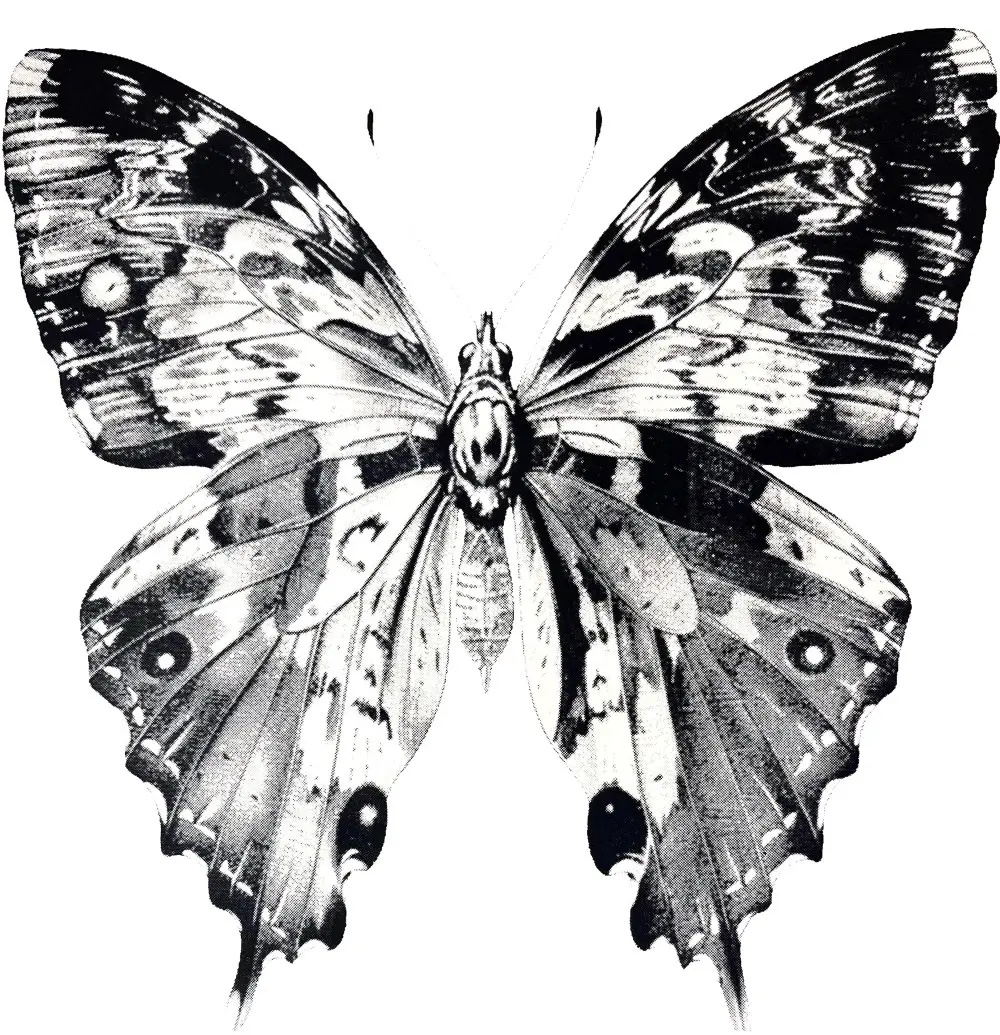 Grow by Amy Gardner - Image 2