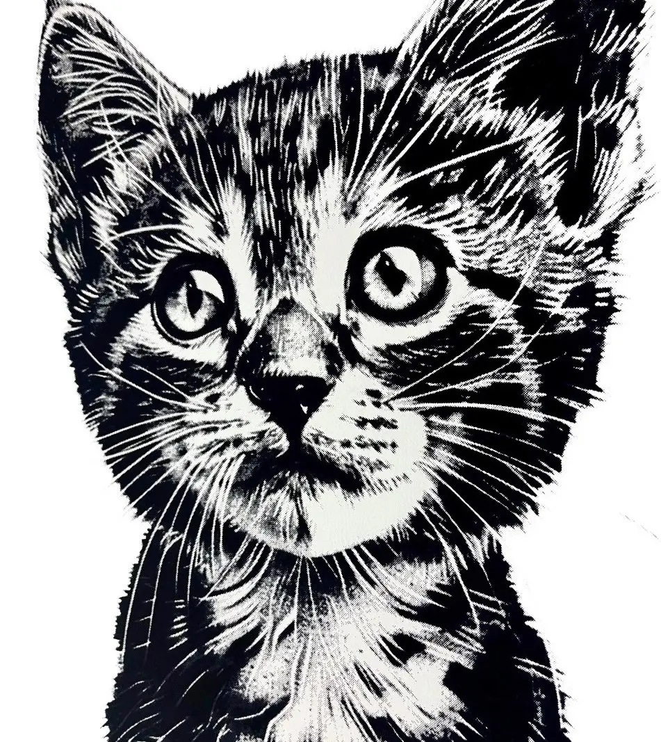 Playful Kittens by Amy Gardner - Image 3