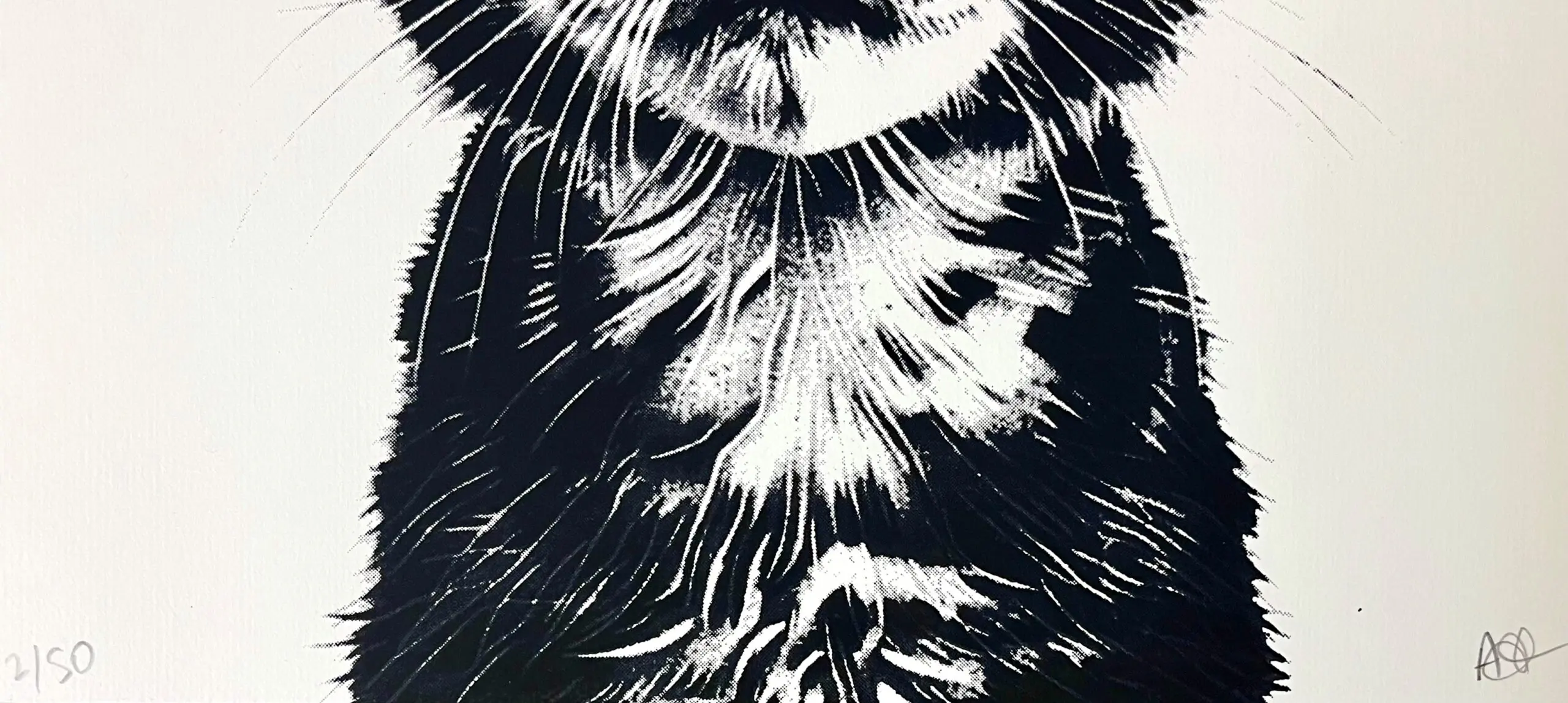 Playful Kittens by Amy Gardner - Image 4