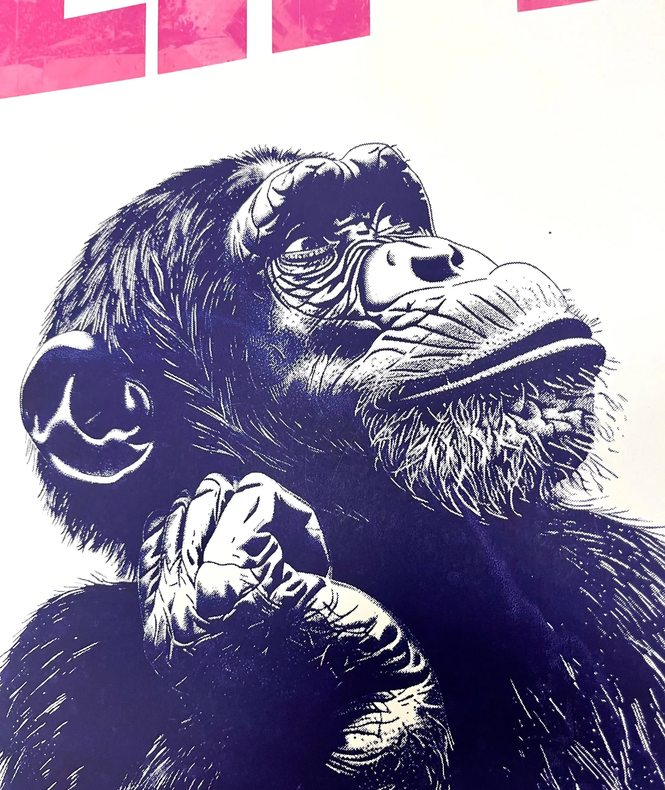 Life by Amy Gardner - Image 2