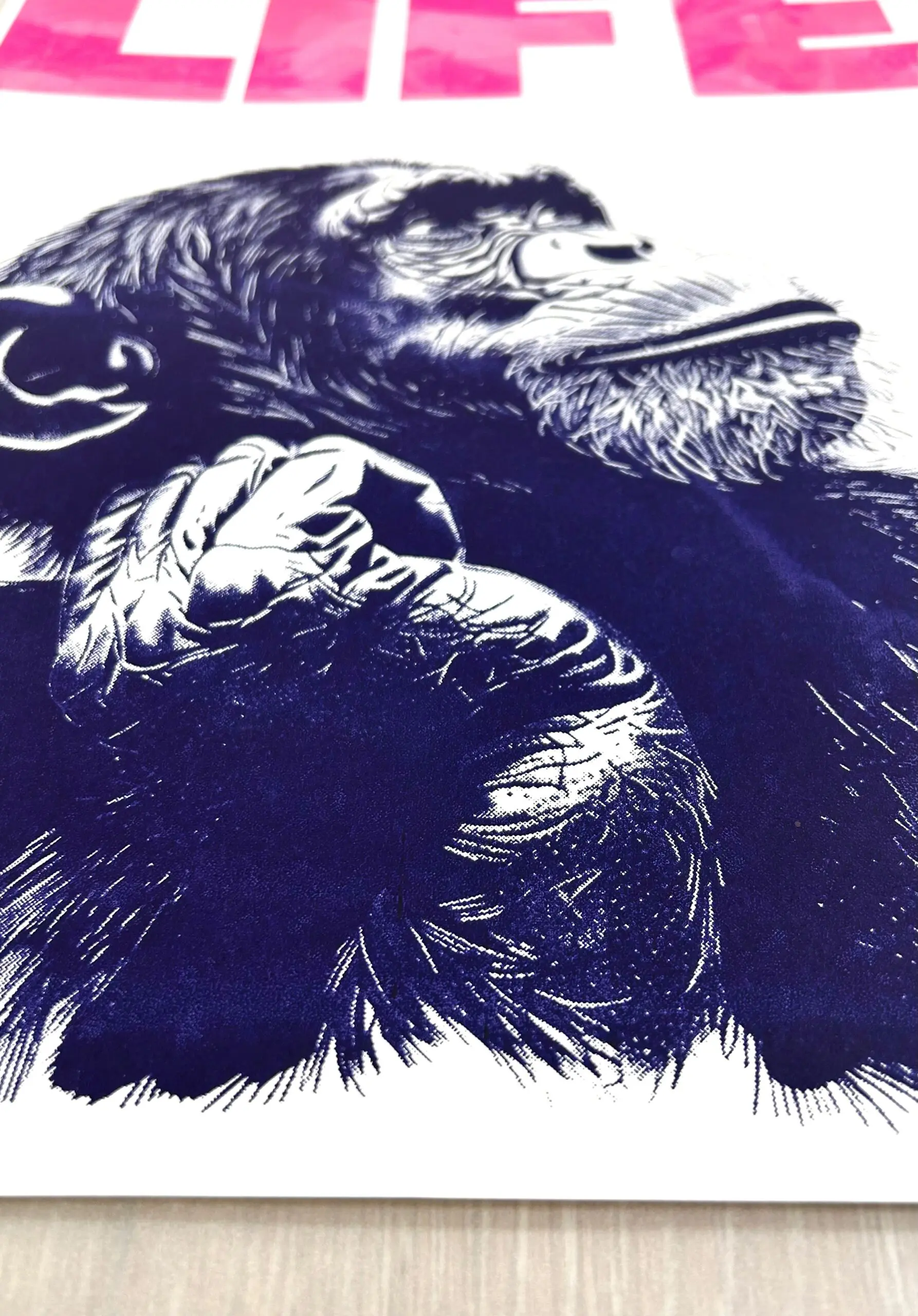 Life by Amy Gardner - Image 5