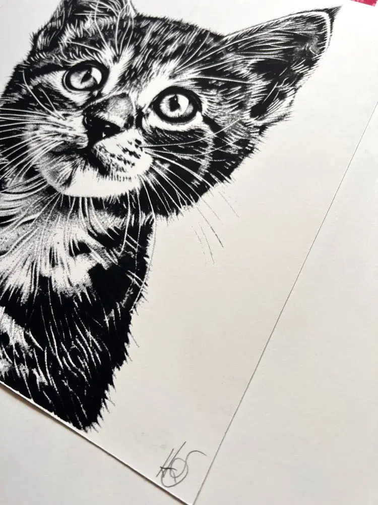 Playful Kittens by Amy Gardner - Image 5