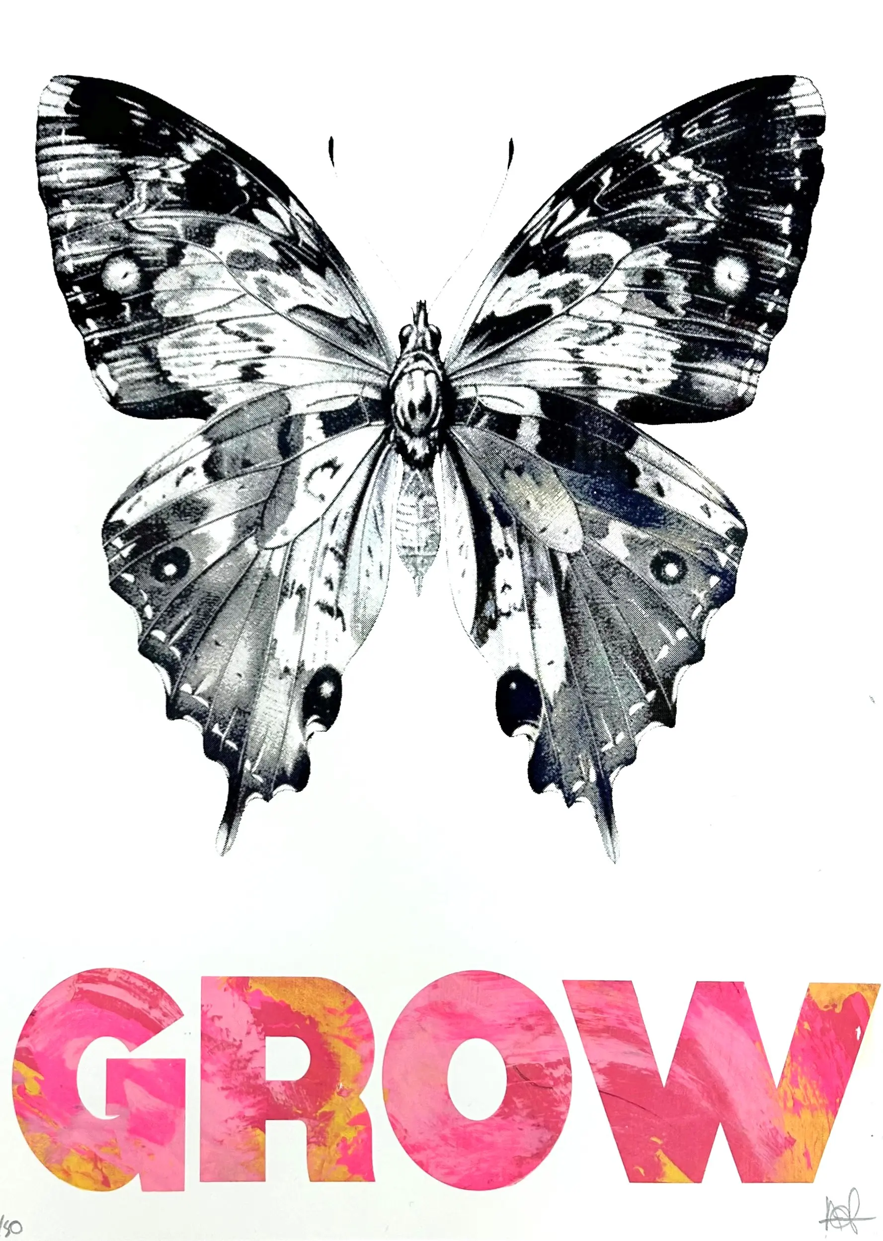 Grow by Amy Gardner