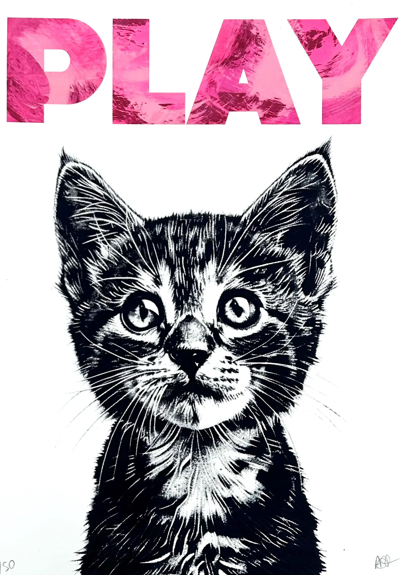 Playful Kittens by Amy Gardner