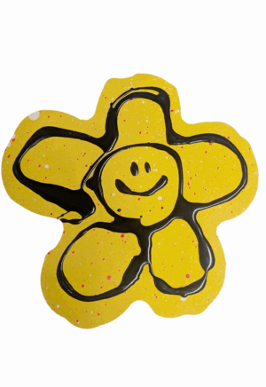 Flower Smiley (Small) n.1 by Ryan Callanan