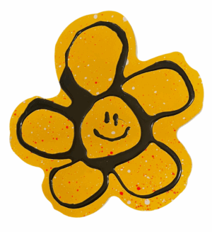 Flower Smiley (Small) n.1 by Ryan Callanan