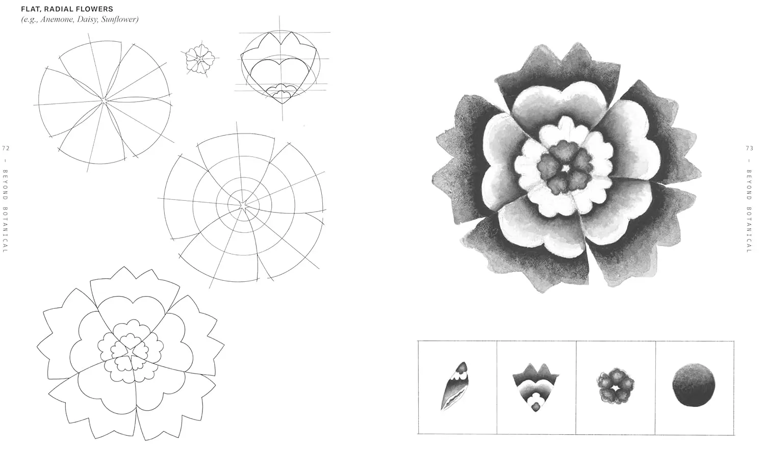 Beyond Botanical: A Guide to Drawing Plants in Nature by Daniel The Gardener - Image 4