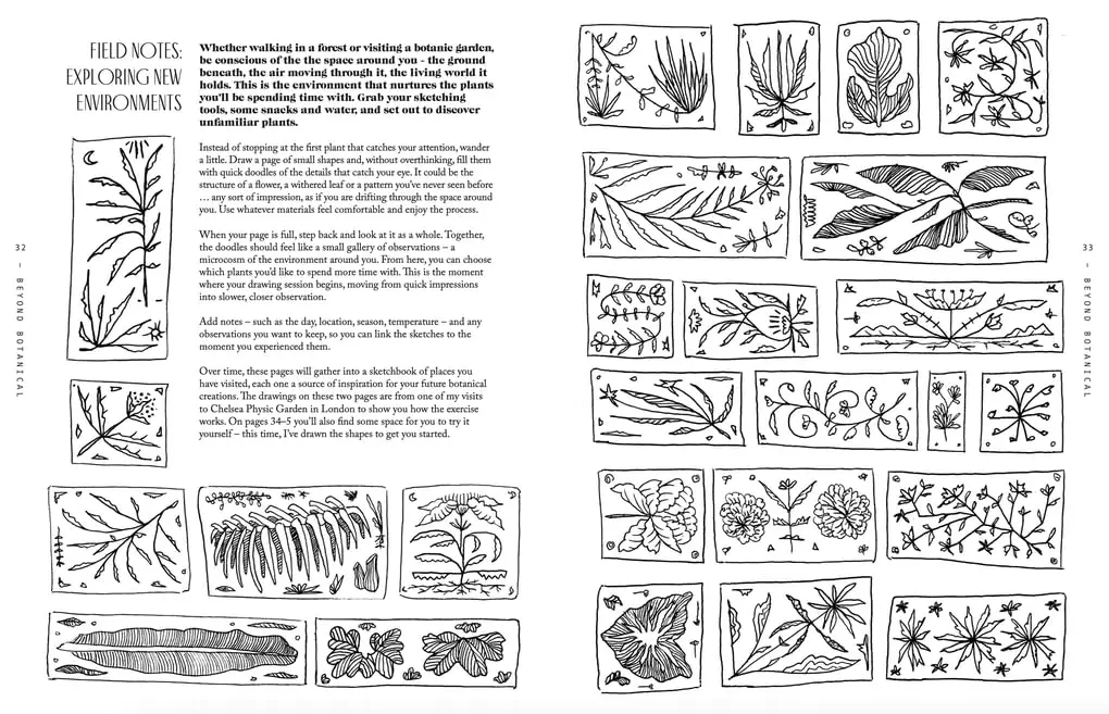 Beyond Botanical: A Guide to Drawing Plants in Nature by Daniel The Gardener - Image 5