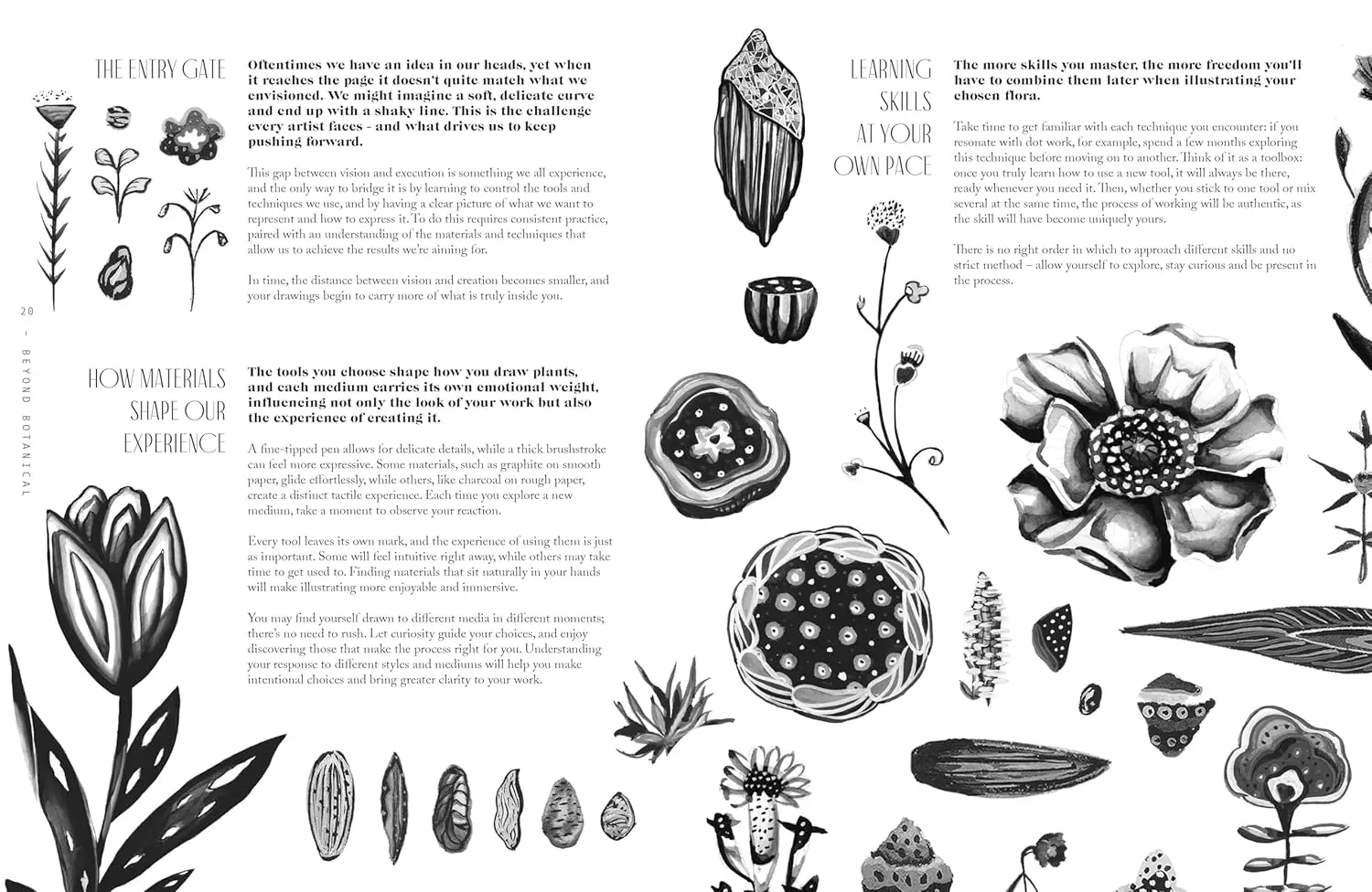 Beyond Botanical: A Guide to Drawing Plants in Nature by Daniel The Gardener - Image 3