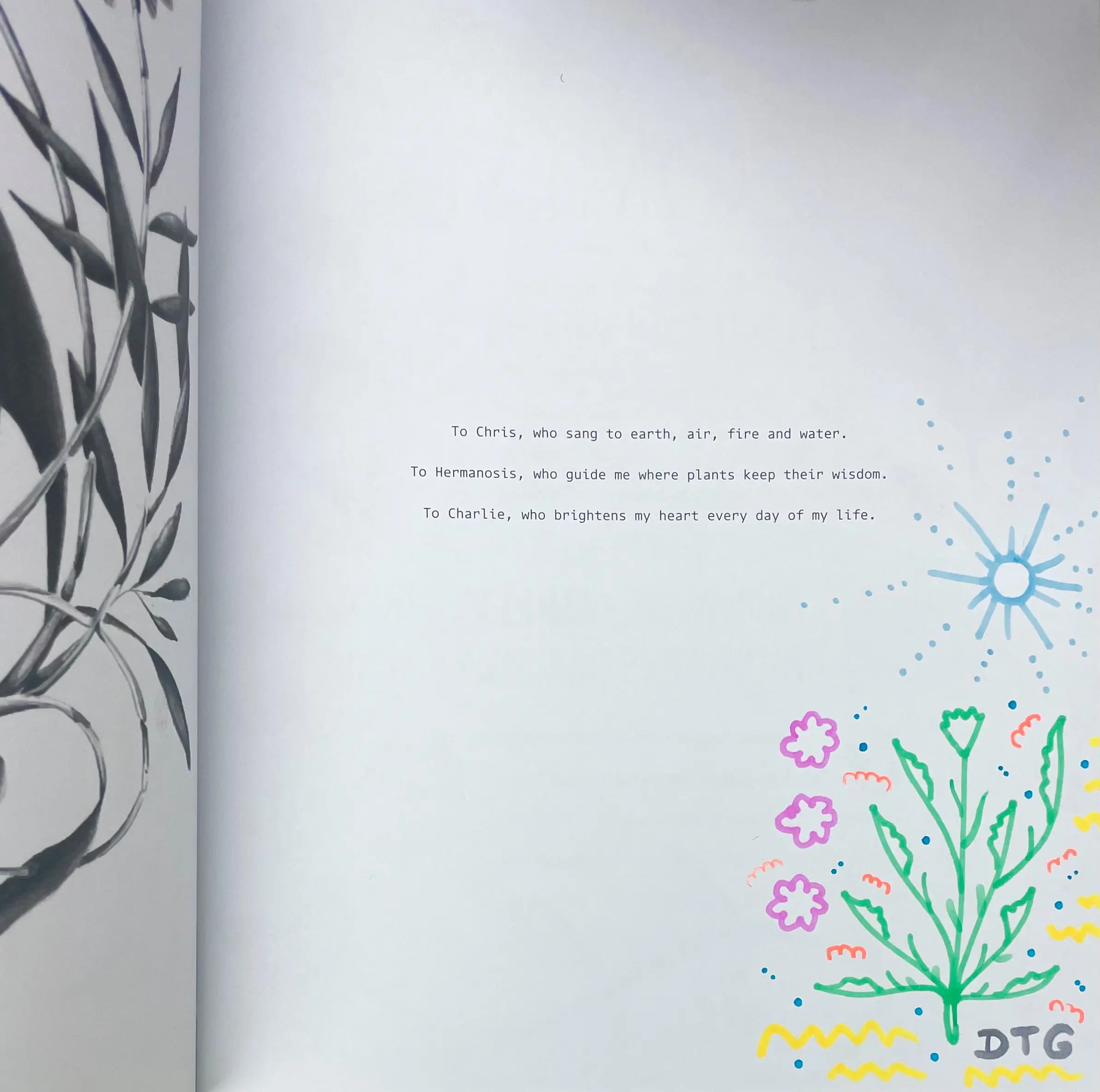 Beyond Botanical: A Guide to Drawing Plants in Nature by Daniel The Gardener - Image 2
