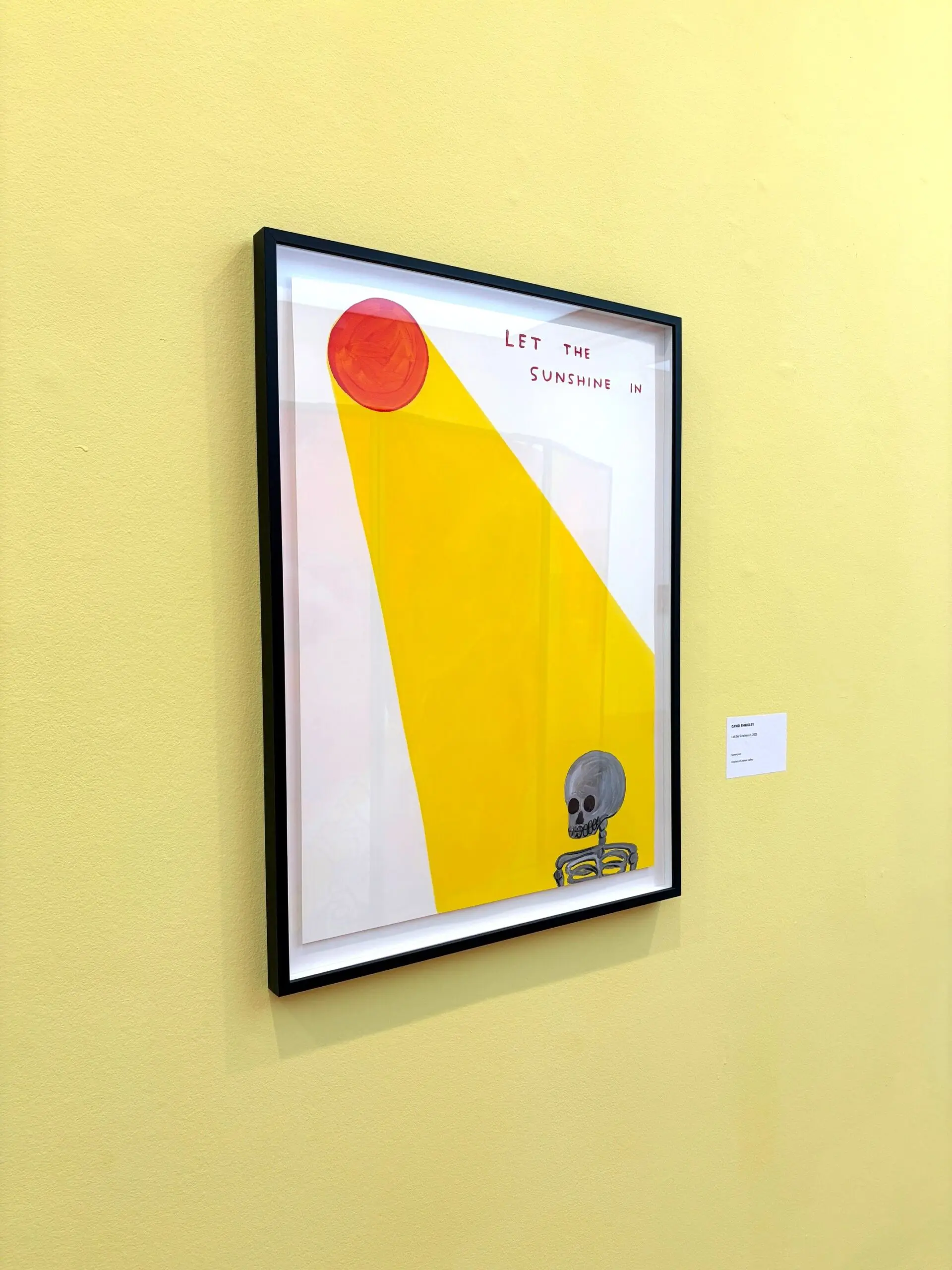 Let The Sunshine In by David Shrigley (Framed) - Image 2