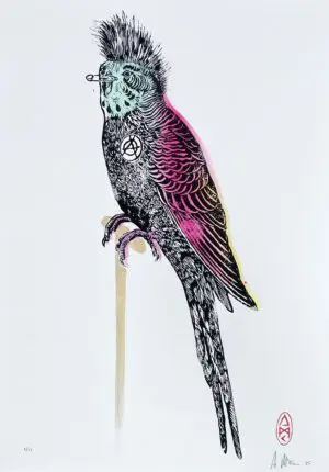Buzz The Punk Budgie by Rugman