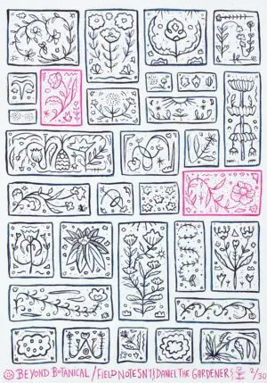 Beyond Botanical Field Notes ( Hand-finished) by Daniel the Gardener