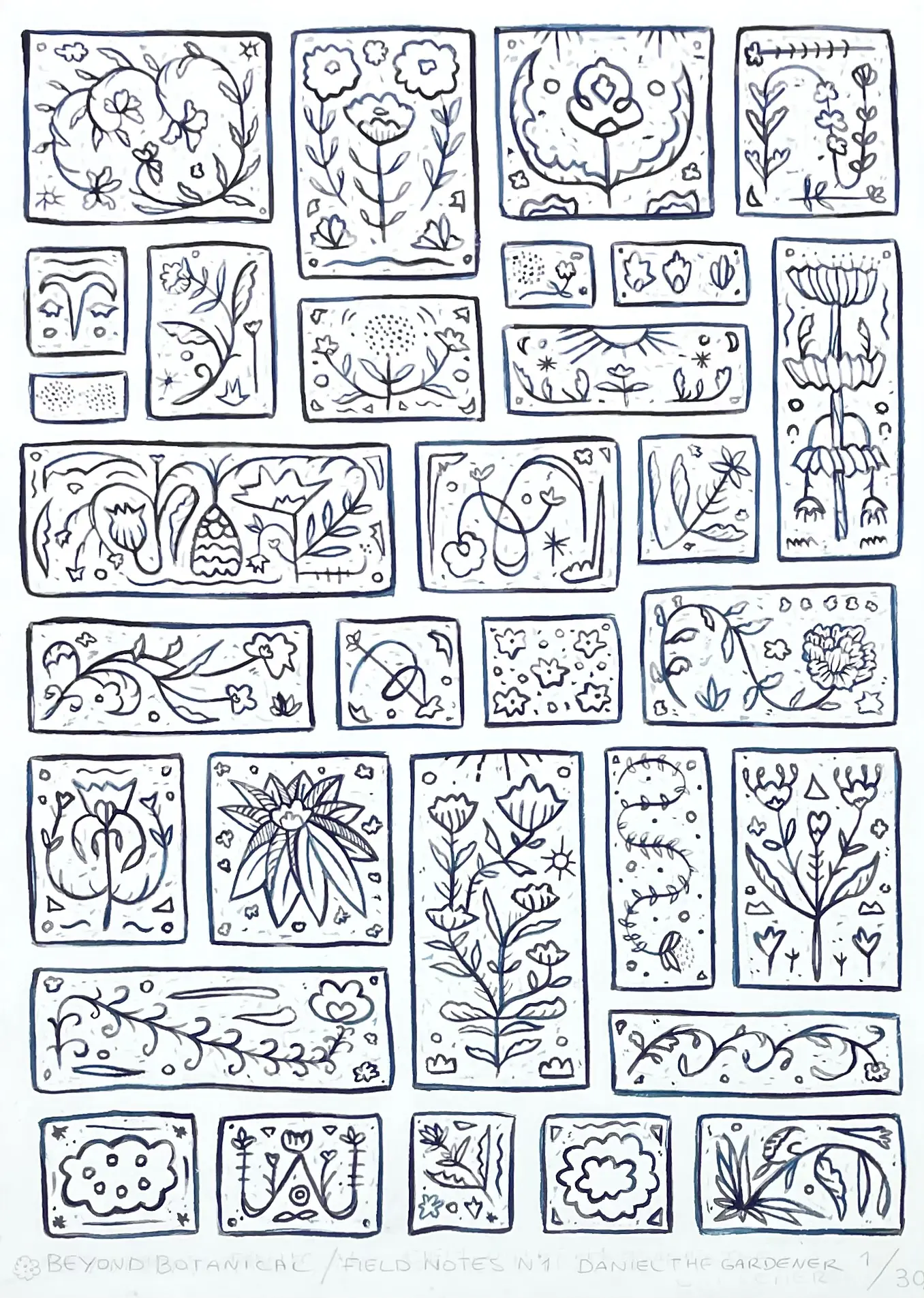 Beyond Botanical Field Notes by Daniel the Gardener