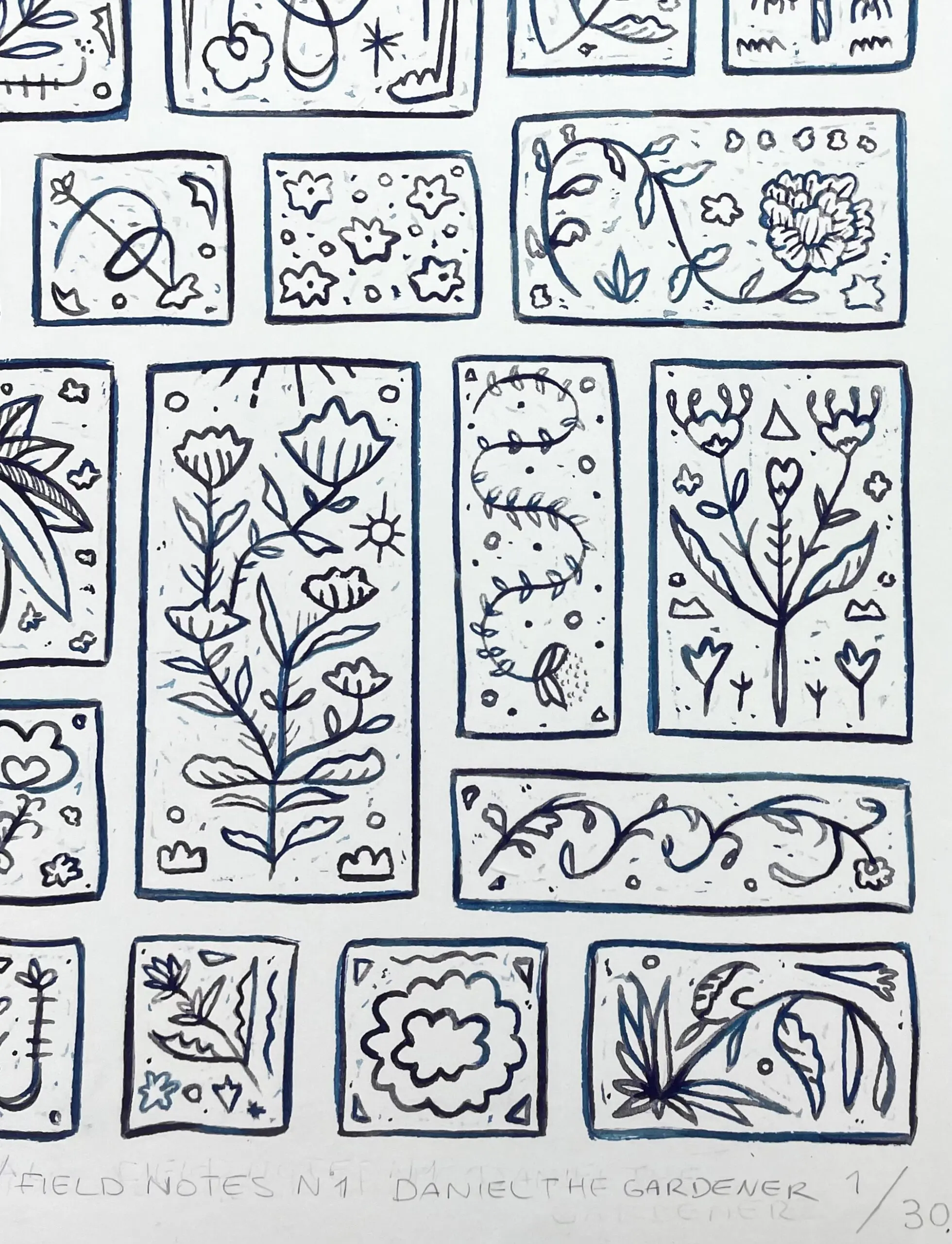 Beyond Botanical Field Notes by Daniel the Gardener - Image 2