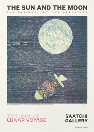 Fly By by Tom Hammick