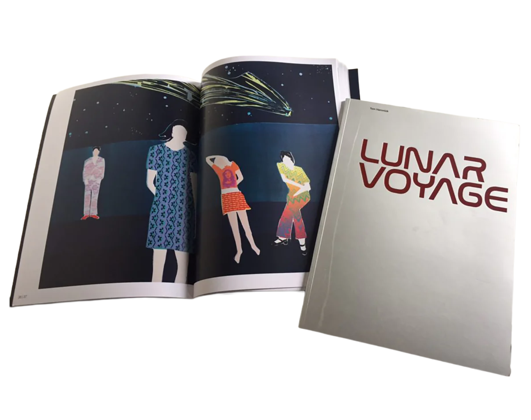 Lunar Voyage by Tom Hammick - Image 2