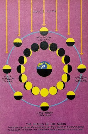 Illustration of the moon calendar from Ladybird Series 601 Mini Print