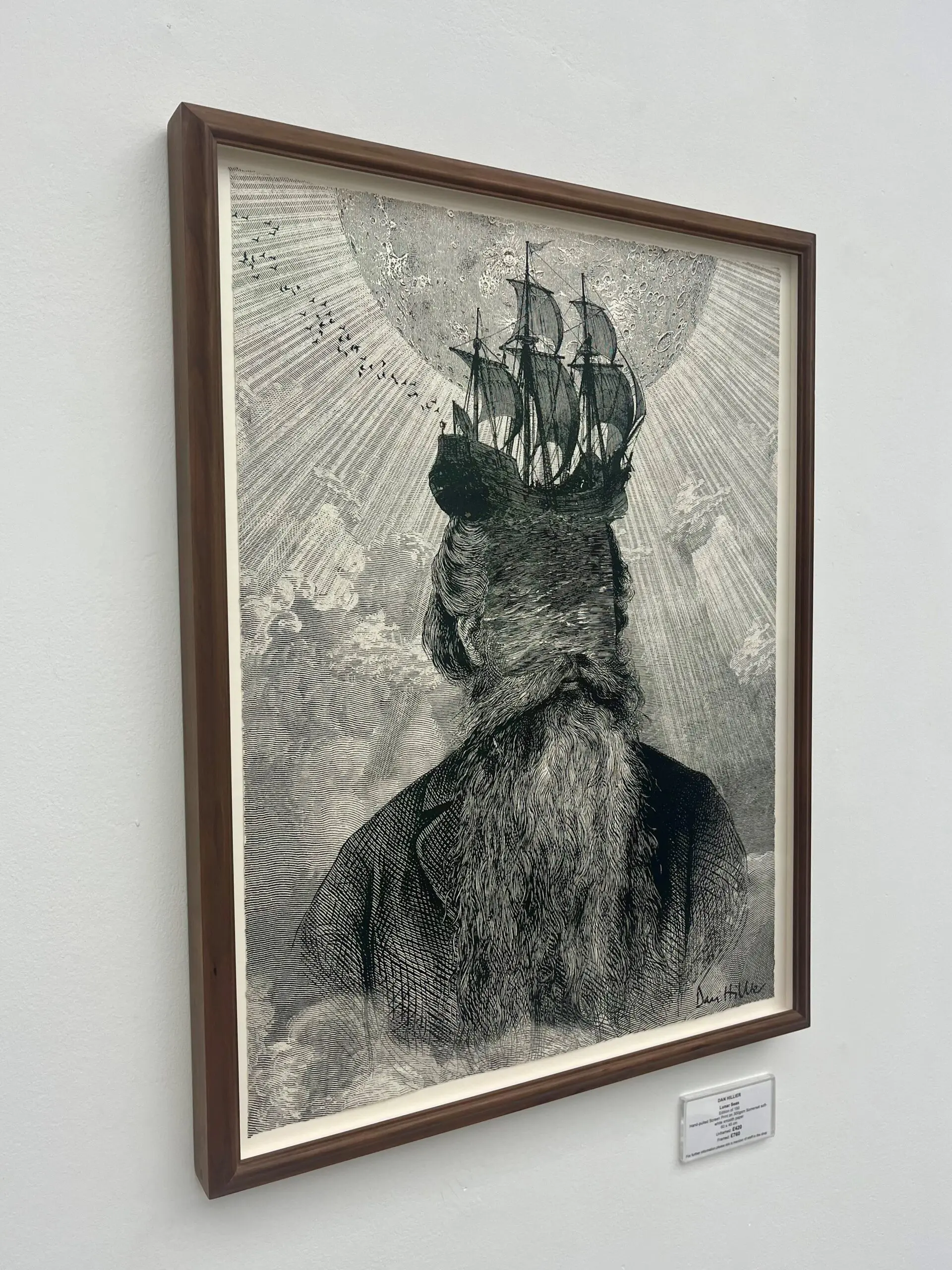 Lunar Seas (Framed) by Dan Hillier - Image 3