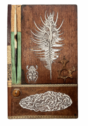 Porcupine Shell by Lily Mixe