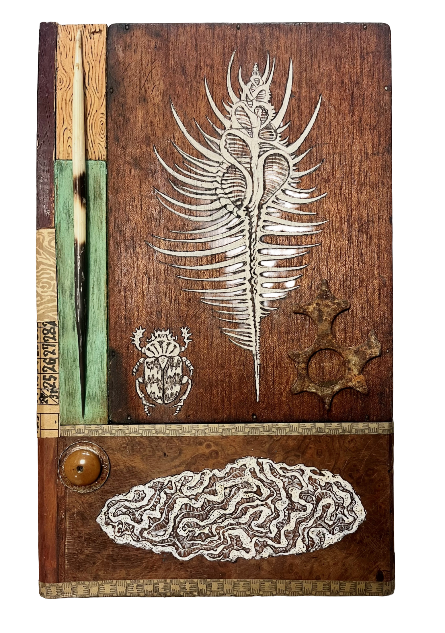 Porcupine Shell by Lily Mixe