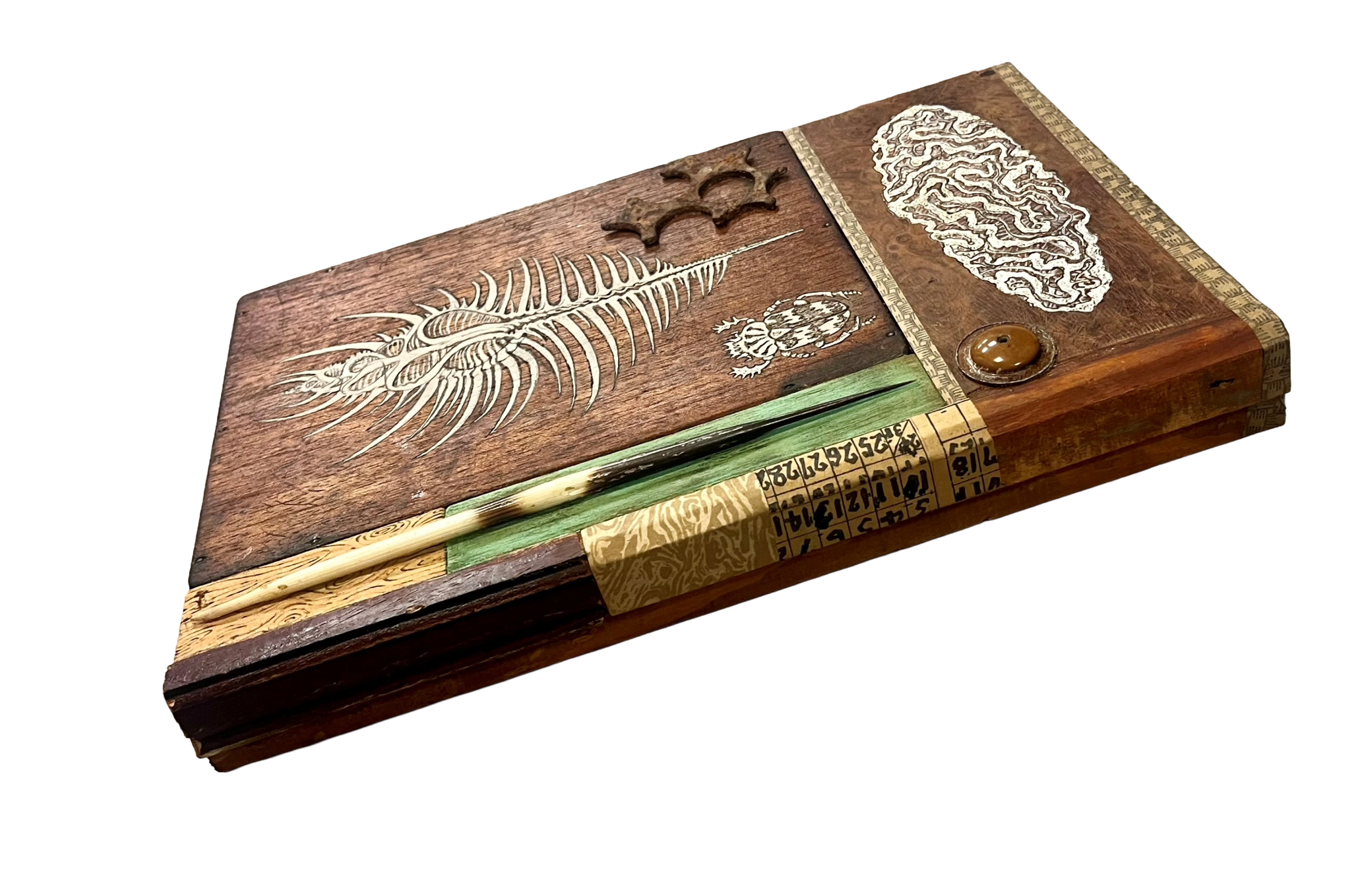 Porcupine Shell by Lily Mixe - Image 4
