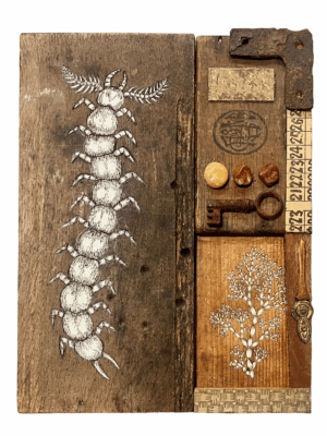 Centipede Medicine by Lily Mixe