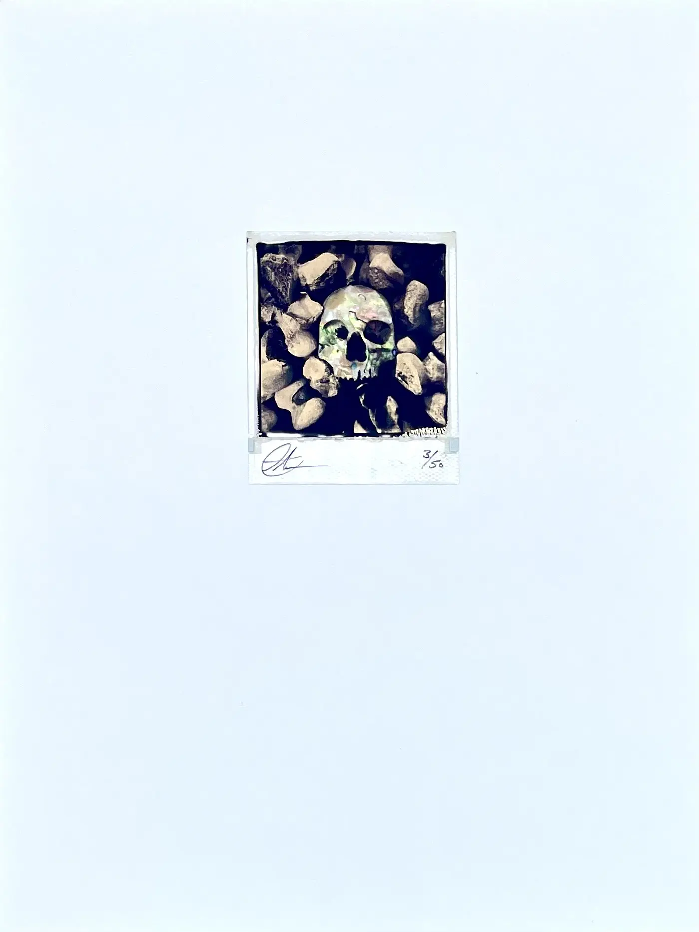 With Daisies Lie Polaroid by Andrew Millar - Image 4