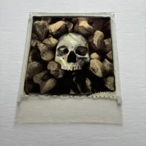 With Daisies Lie Polaroid by Andrew Millar