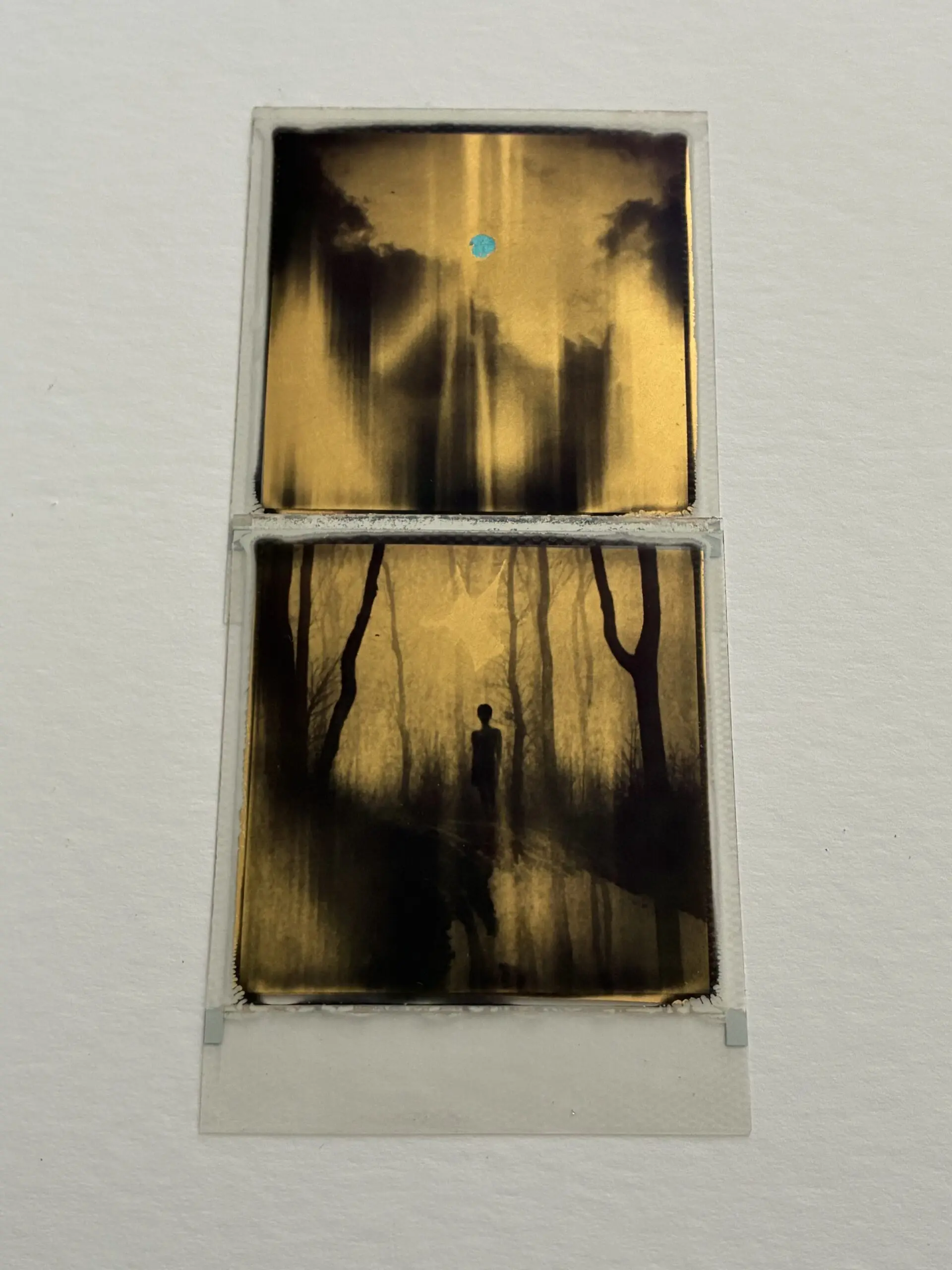 Dream Within A Dream Polaroid by Andrew Millar