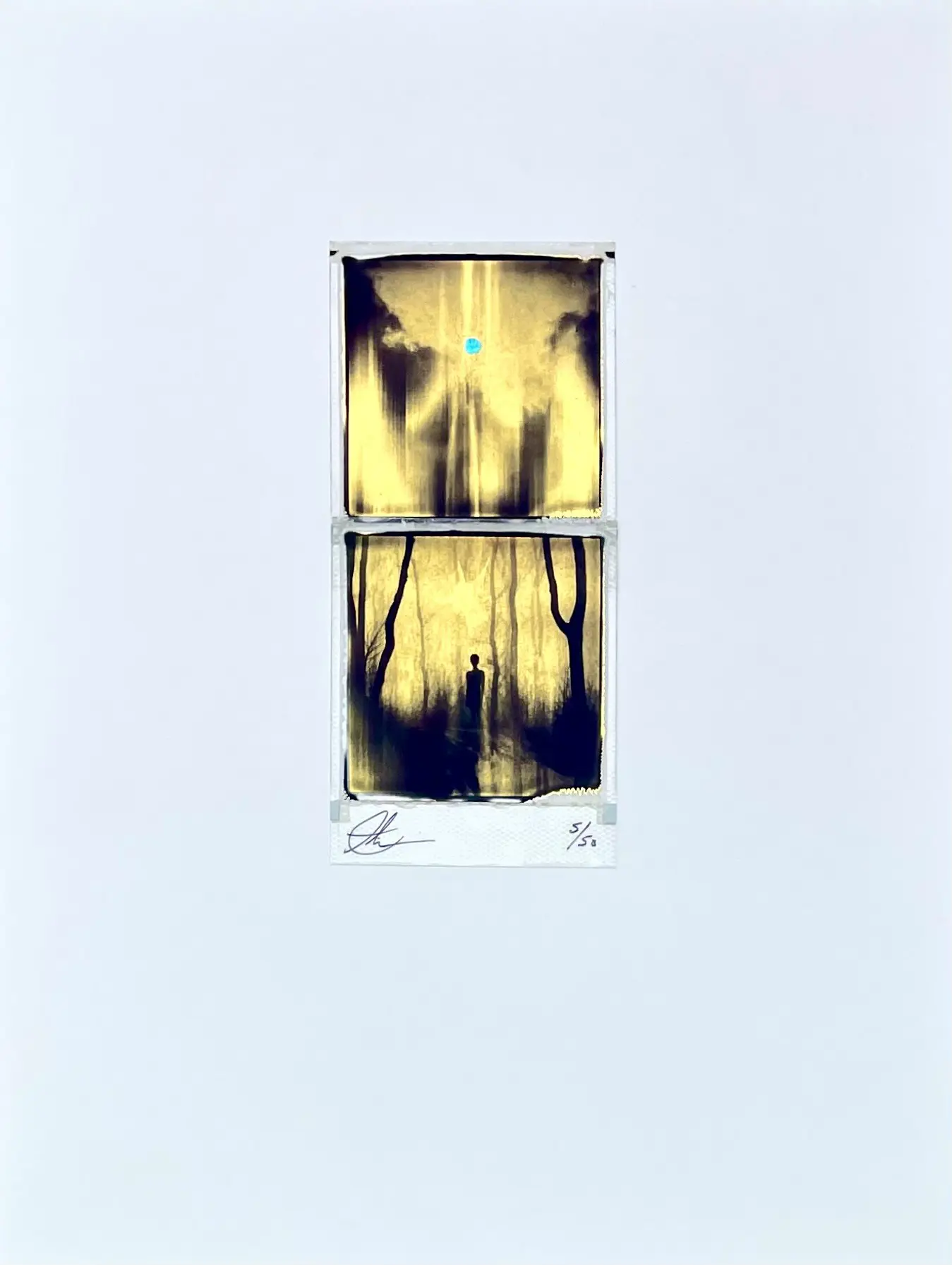 Dream Within A Dream Polaroid by Andrew Millar - Image 4