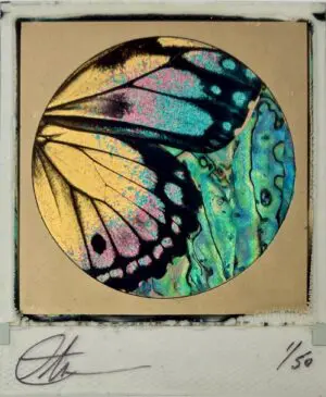 Never Land Polaroid by Andrew Millar