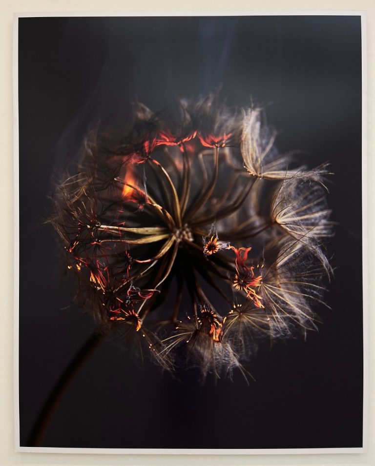 Burning Heart by Rankin - Saatchi Store