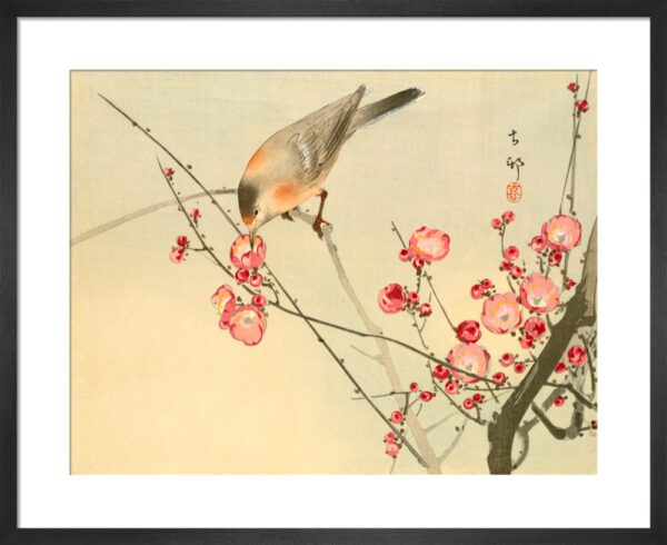Prunus with White Eye Mini Print