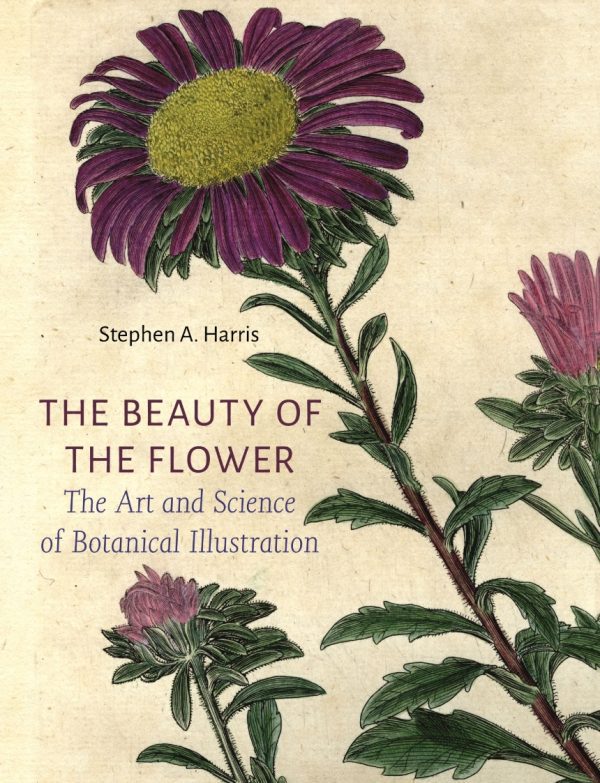 The Beauty of the Flower by Stephen A. Harris