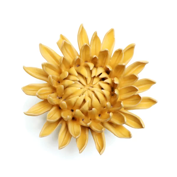 Chrysanthemum Yellow by Chive