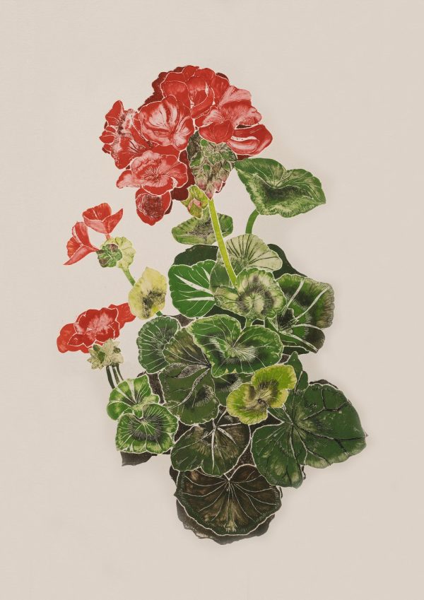 Geranium by Emma Bond - Image 2