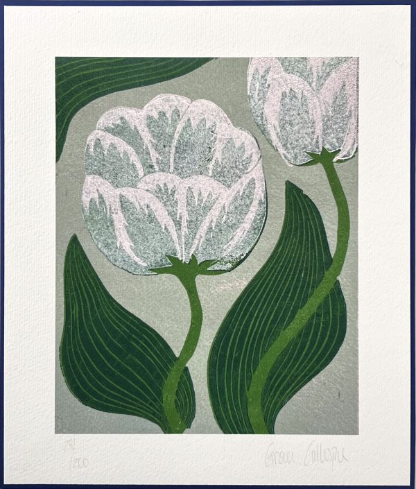 White Tulip (small) by Grace Gillespie