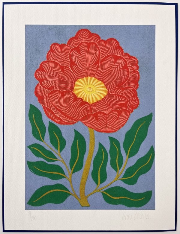 Peony on Light Blue by Grace Gillespie