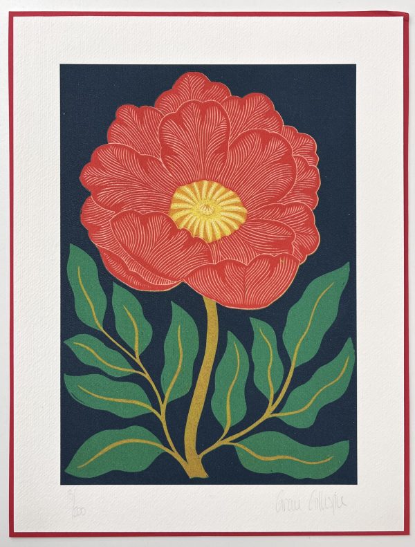 Peony on Dark Blue by Grace Gillespie