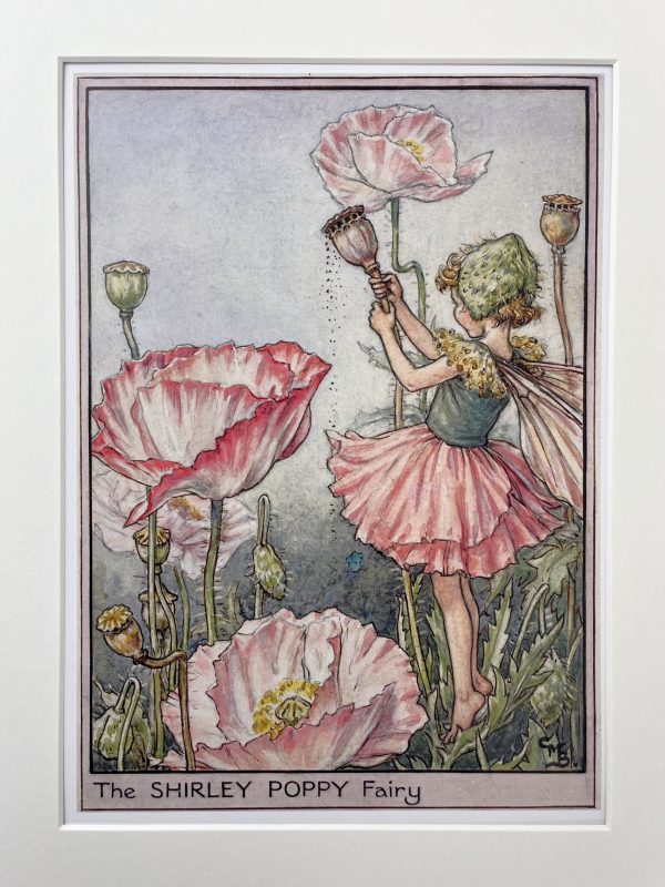 The Shirley Poppy Fairy Mini Print