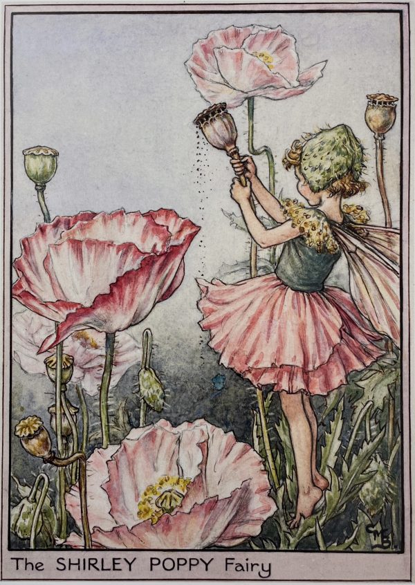 The Shirley Poppy Fairy Mini Print - Image 2