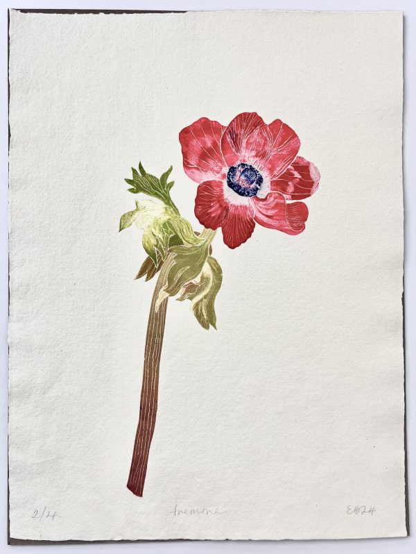 Anemone by Emma Bond