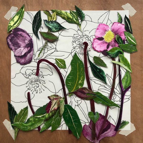 Hellebore by Emma Bond - Image 3