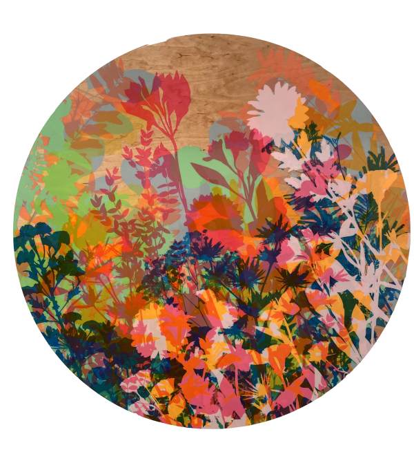 Flowers 7 by Jess Wilson