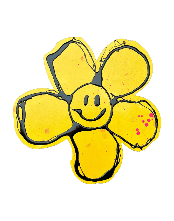 Flower Smiley (medium) by Ryan Callanan