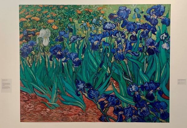 LOQI Bag - Van Gogh Irises - Image 2